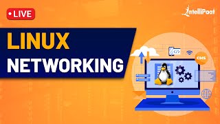 Linux Networking  Linux Networking Commands  Linux Networking Tutorial  Intellipaat [upl. by Jourdan]