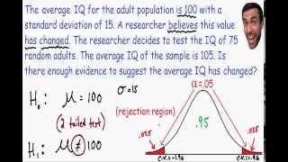 Hypothesis Testing  Statistics [upl. by Anaira40]