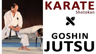 KARATE  SELF DEFENSE  GOSHIN JUTSU [upl. by Jada255]