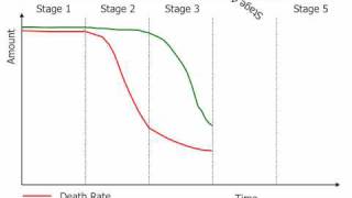 The Demographic Transition Model [upl. by Einnov518]