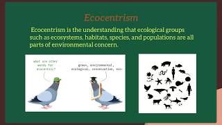 Environmental Ethics [upl. by Enitsuj]