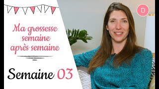 3ème semaine de grossesse – Les nausées [upl. by Nniw]