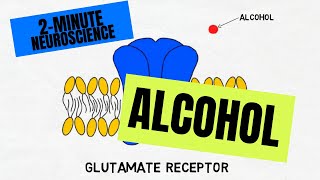 2Minute Neuroscience Alcohol [upl. by Ecyla]