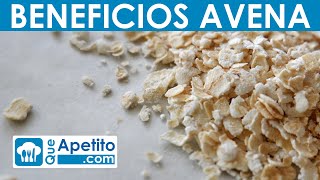 8 Propiedades y Beneficios de la Avena  QueApetito [upl. by Lucic]