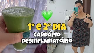 VLOG DIÁRIO DA DIETA  PROTOCOLO DESINFLAMATÓRIO 💚🍃 [upl. by Nylave]