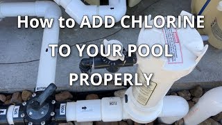 How to ADD CHLORINE to your Pool PROPERLY [upl. by Honora189]