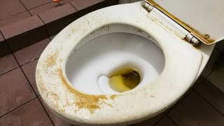 BRILLIANT Way to CLEAN TOILET BOWL STAINS amp REMOVE HARD WATER  Andrea Jean [upl. by Airebma]