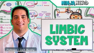 Neurology  Limbic System Anatomy amp Function [upl. by Marcy]