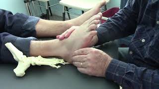 Physical Therapy How to Treat Outside Foot Pain in Cuboid Joint [upl. by Enileuqkcaj]