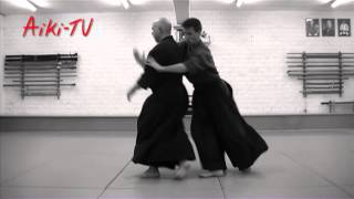 Yoseikan Aikijujutsu demonstration by Hugo Chauveau [upl. by Llyrrad261]