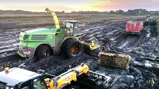 FORAGE HARVESTER in the MUD  2020 Corn Silage in France  Short History [upl. by Inail]