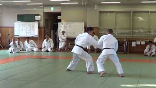 KODOKAN GOSHIN JUTSU 2017 2 [upl. by Bonine]