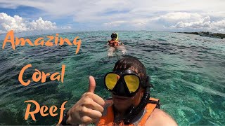 Snorkeling in Cancun Mexico  The Mesoamerican Reef  Excursions In Cancun Mexico [upl. by Ainuj]