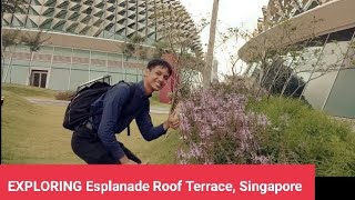 EXPLORING  Esplanade Roof Terrace Singapore [upl. by Ahsikahs10]