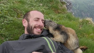 Marmot Attack  Attaque de Marmotte [upl. by Airdnassac]