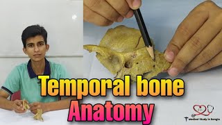 Temporal bone anatomy in bangla [upl. by Margalo819]