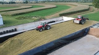 Corn Silage Harvest Begins  Filling the Big Bunk [upl. by Kain]