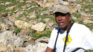 Alpine Animals Meet Colorados Marmots [upl. by Wilser]