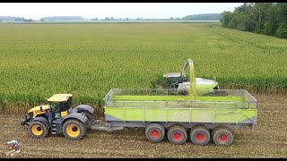 Eastside Dairy Corn Silage Harvest 2020 [upl. by Eilyr883]