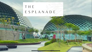 SINGAPORE  The Esplanade [upl. by Thurmann]