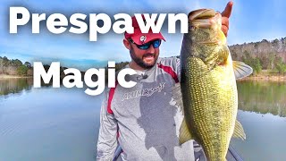 How to Fish for Largemouth Bass During Prespawn  Early Spring Fishing [upl. by Gnes]