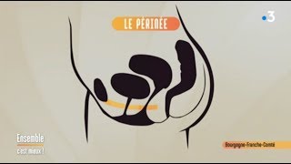 Le périnée  comment le rééduquer [upl. by Winna]