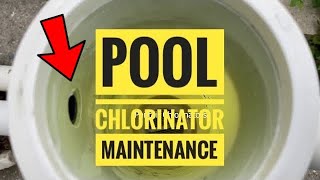 Pool Chlorinator Maintenance [upl. by Akahs521]