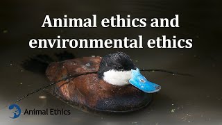 Animal ethics and environmental ethics [upl. by Hadsall]