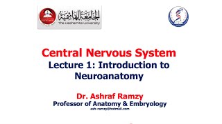 Lecture 1  Introduction to Neuroanatomy  CNS [upl. by Hescock]