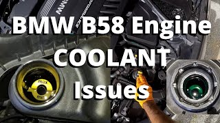 BMW B58 Engine  How to Check Coolant and finding maintenance errors on my M140i [upl. by Iaj]