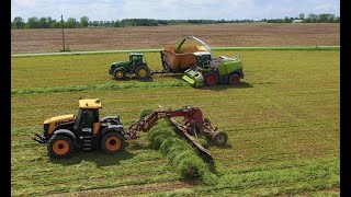 Making COW CHOW Wheat silage HARVEST 2020 [upl. by Kilam]