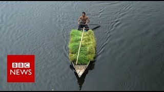 The Floating Farms of Bangladesh  BBC News [upl. by Os841]