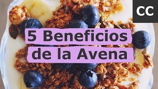 5 Beneficios de la Avena  Ciencia de la Comida [upl. by Ahsilef]