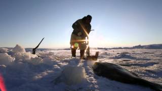 Inuit Culture in Greenland [upl. by Kant]