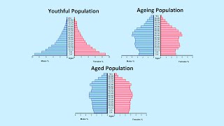 How to Read a Population Pyramid [upl. by Oira463]