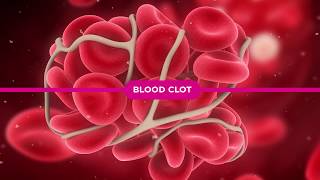 Coagulation Cascade Explained [upl. by Tracay]