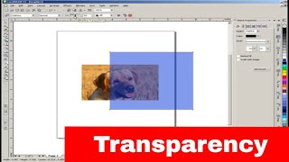 Tranparency tool in CorelDraw [upl. by Avilo]