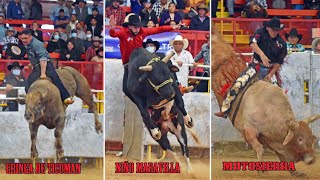 LOS MEJORES JINETES Y TOROS DE USA  Torneo Nacional de Toros de Reparos Houston Texas 2021 [upl. by Eirret714]