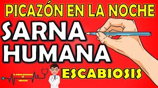 SARNA HUMANA  ESCABIOSIS⚡EXPLICACIÓN FÁCIL ¿Cómo se contagia Síntomas Diagnóstico y Tratamiento 📝 [upl. by Llyrpa]