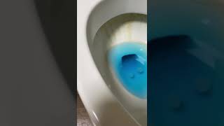 Cleaning toilet with acid [upl. by Erv]