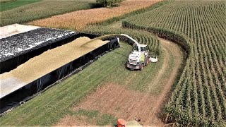 Corn Silage Harvest Efficiency [upl. by Atnoid]