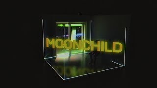 RM moonchild Lyric Video [upl. by Anekam]