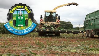 Trailer Tractor Ted Mighty Maize Machine [upl. by Nalra50]