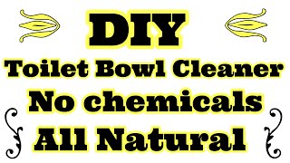 DIY toilet bowl cleaner with recipe [upl. by Ydniw]