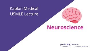 USMLE Prep Neuroscience Lecture [upl. by Landahl]