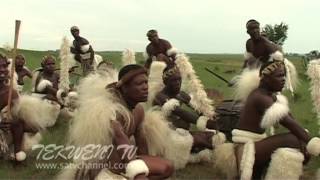 Celebrating Zulu Heritage Through Tribal Dance [upl. by Suoivart]