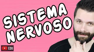 SISTEMA NERVOSO  FISIOLOGIA  Aula  Biologia com Samuel Cunha [upl. by Recnal]