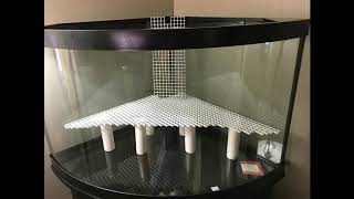 54 gal paludarium build with waterfall DIY tutorial [upl. by Yelha]