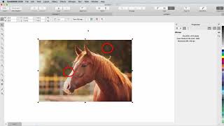 Improve the Size and Quality of your Images  CorelDRAW for Mac [upl. by Leber101]