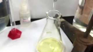 Determining Amount of Iodine in Iodized Salt Lab [upl. by Chloe]